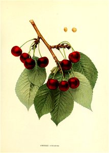 n138_w1150