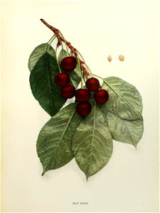n258_w1150