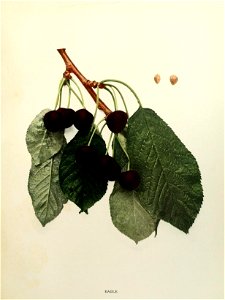 n192_w1150