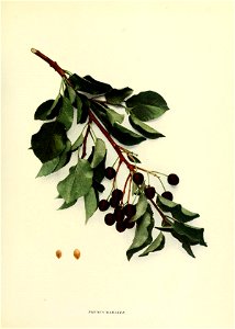 n112_w1150