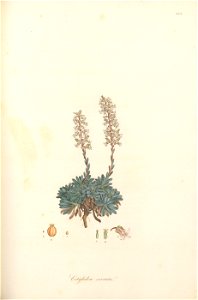 n126_w1150