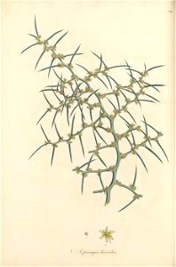 n117_w1150