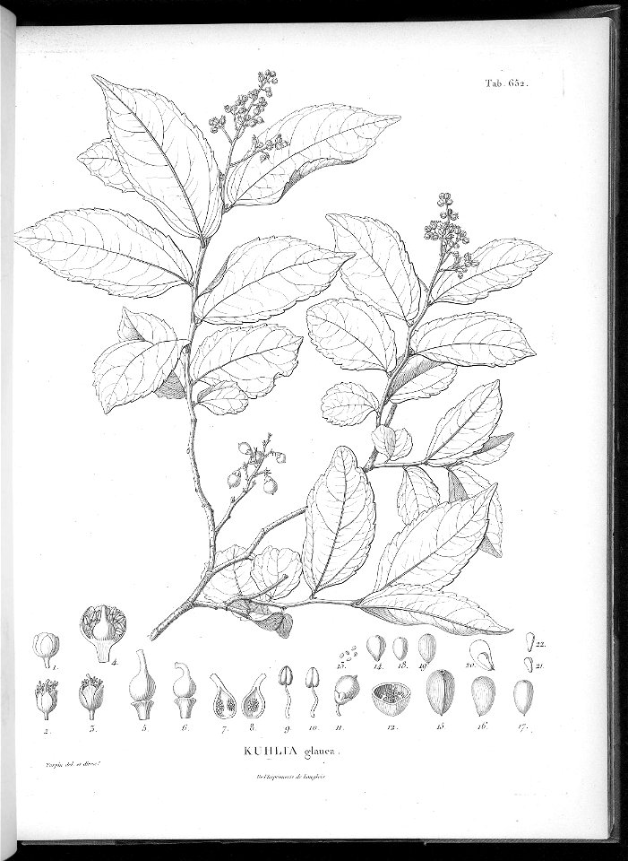 n616_w1150