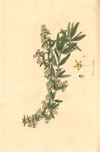 n119_w1150