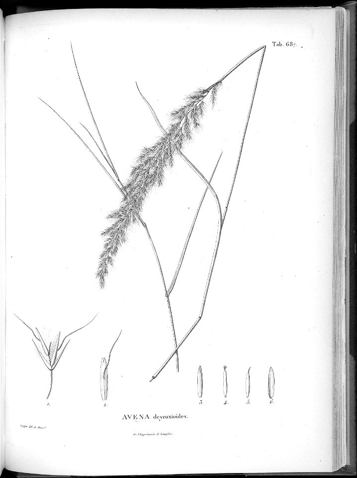 n653_w1150