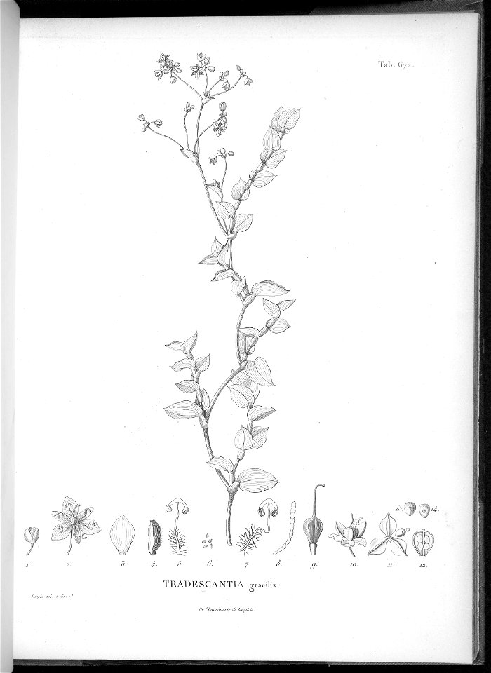 n638_w1150