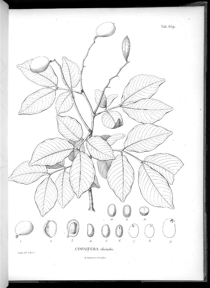n623_w1150