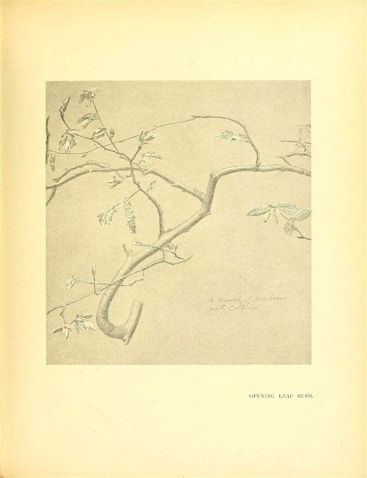 n288_w1150