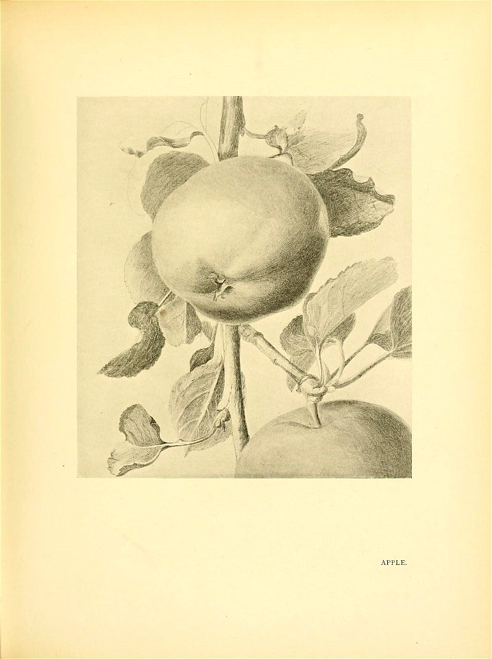 n242_w1150