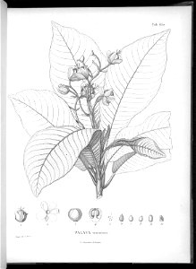 n614_w1150