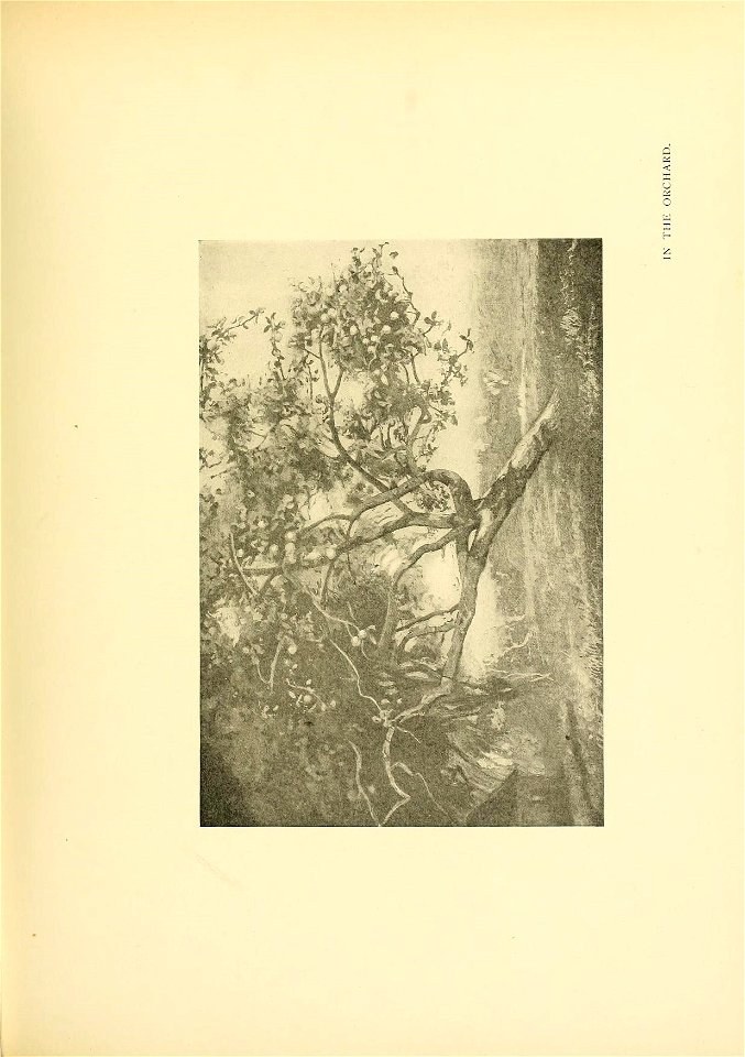 n230_w1150