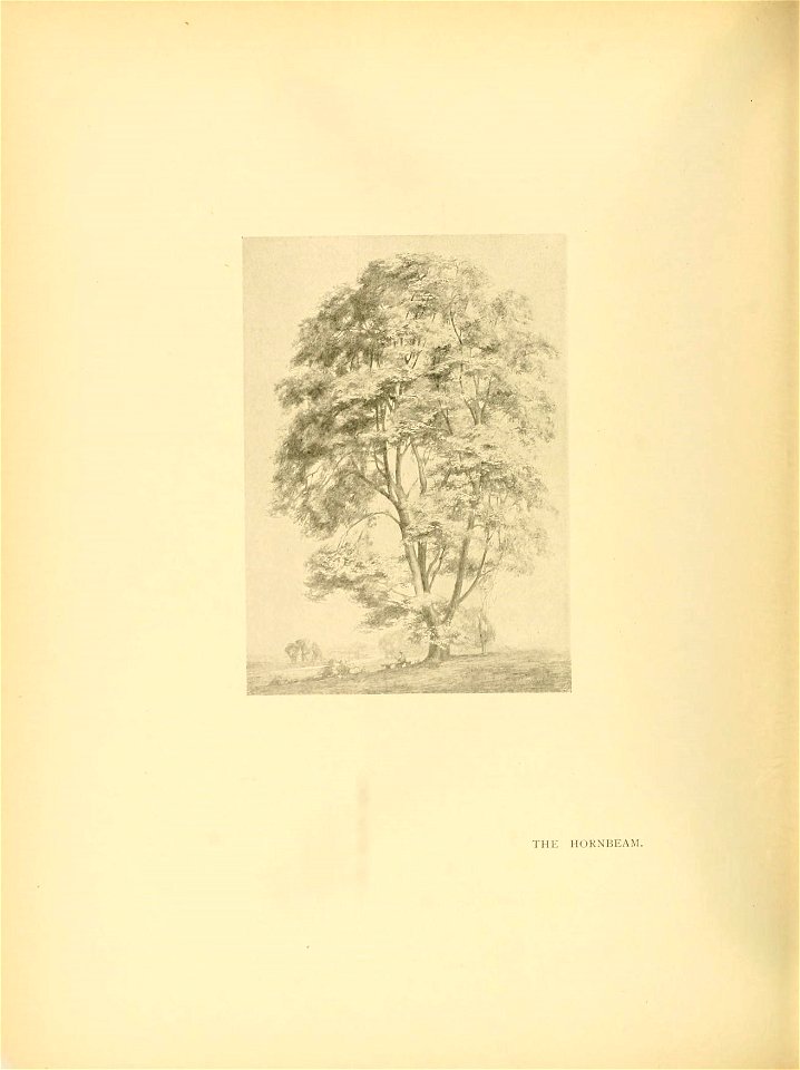 n273_w1150