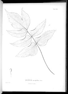 n632_w1150