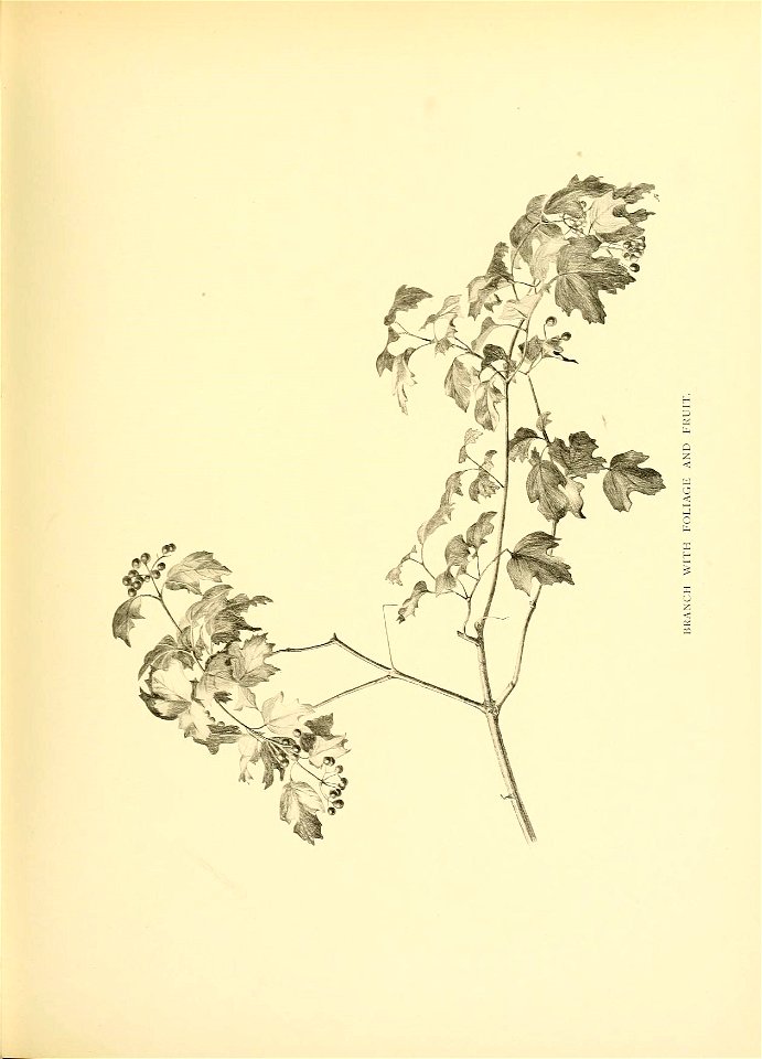 n194_w1150