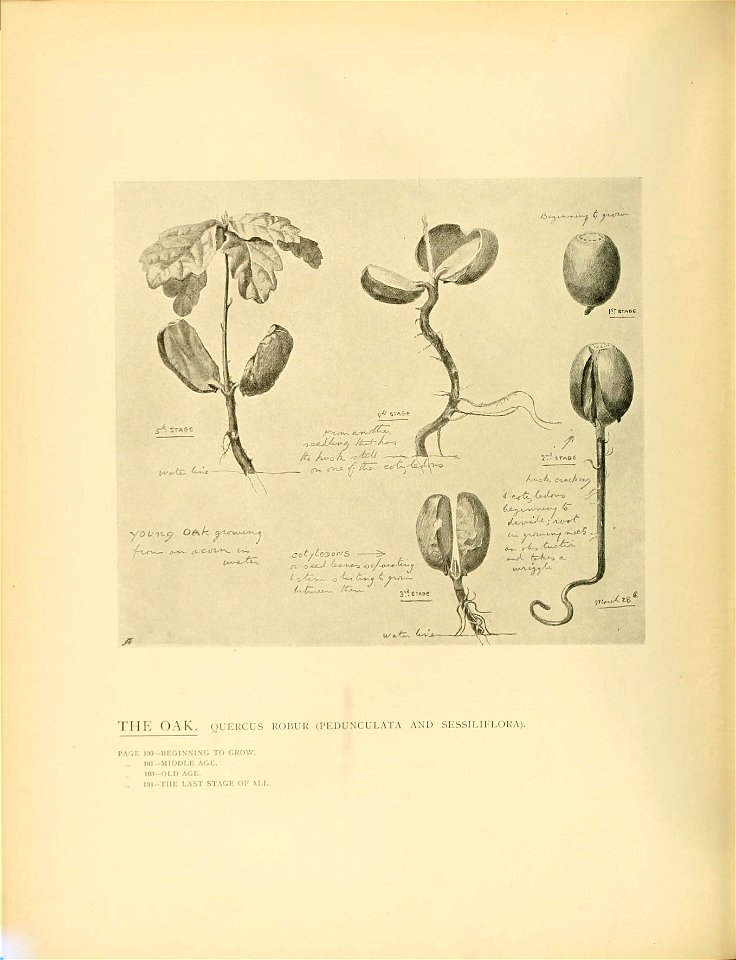 n107_w1150