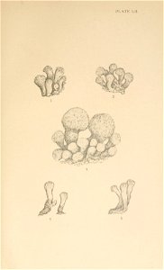 n116_w1150