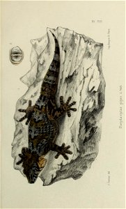 n202_w1150
