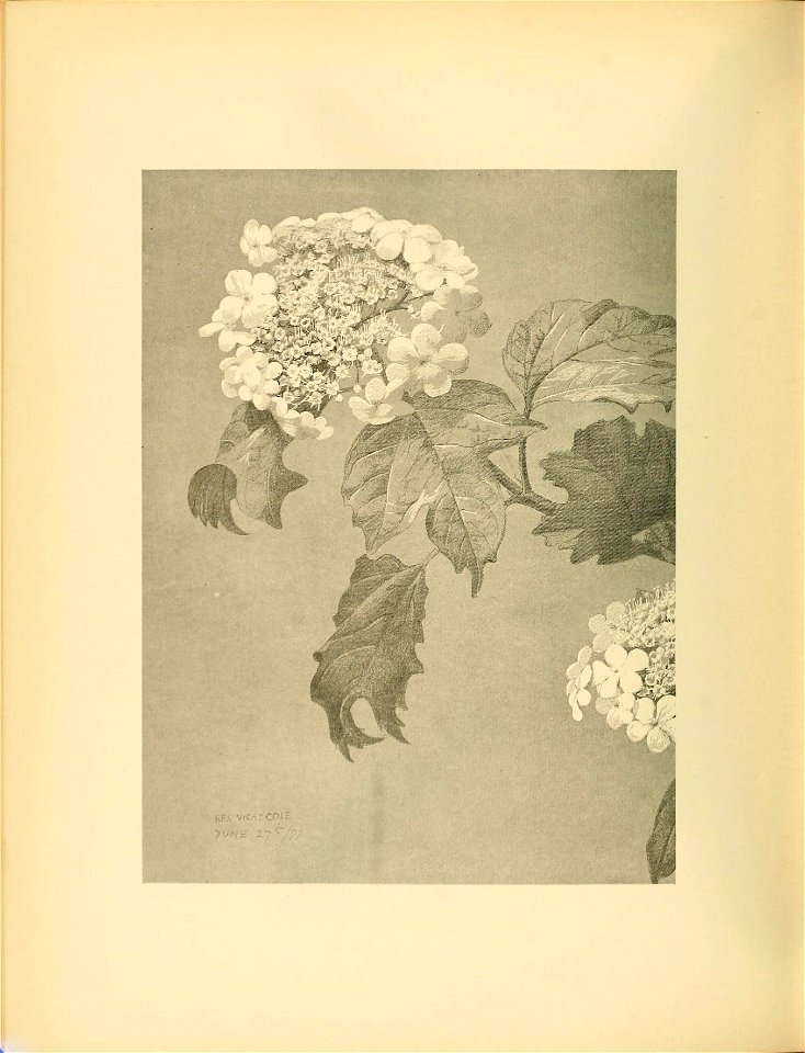 n179_w1150