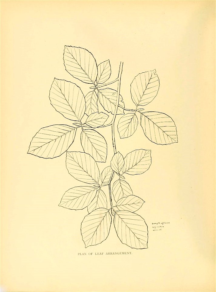 n43_w1150