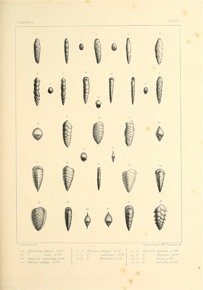 n388_w1150