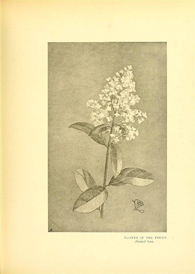 n268_w1150