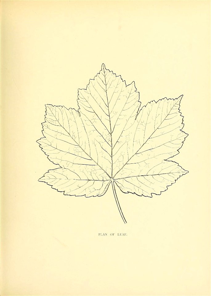 n92_w1150