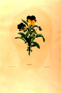 n16_w1150