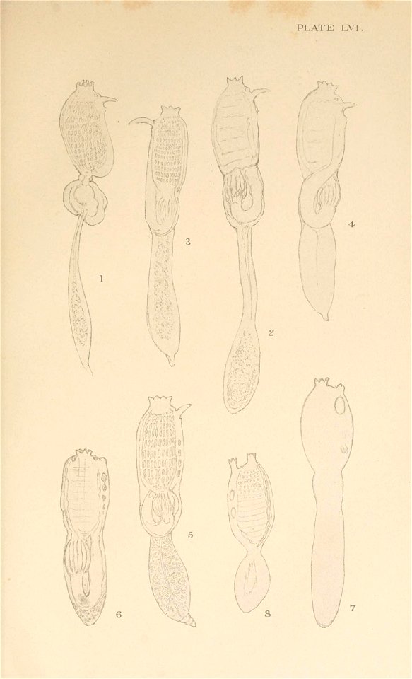n132_w1150