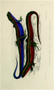 n218_w1150