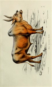 n34_w1150