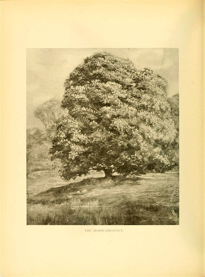 n153_w1150