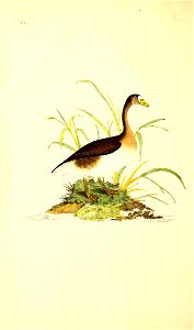 n17_w1150