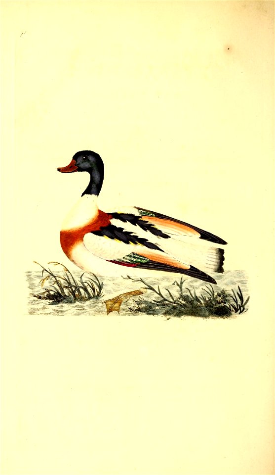 n119_w1150
