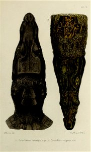 n190_w1150