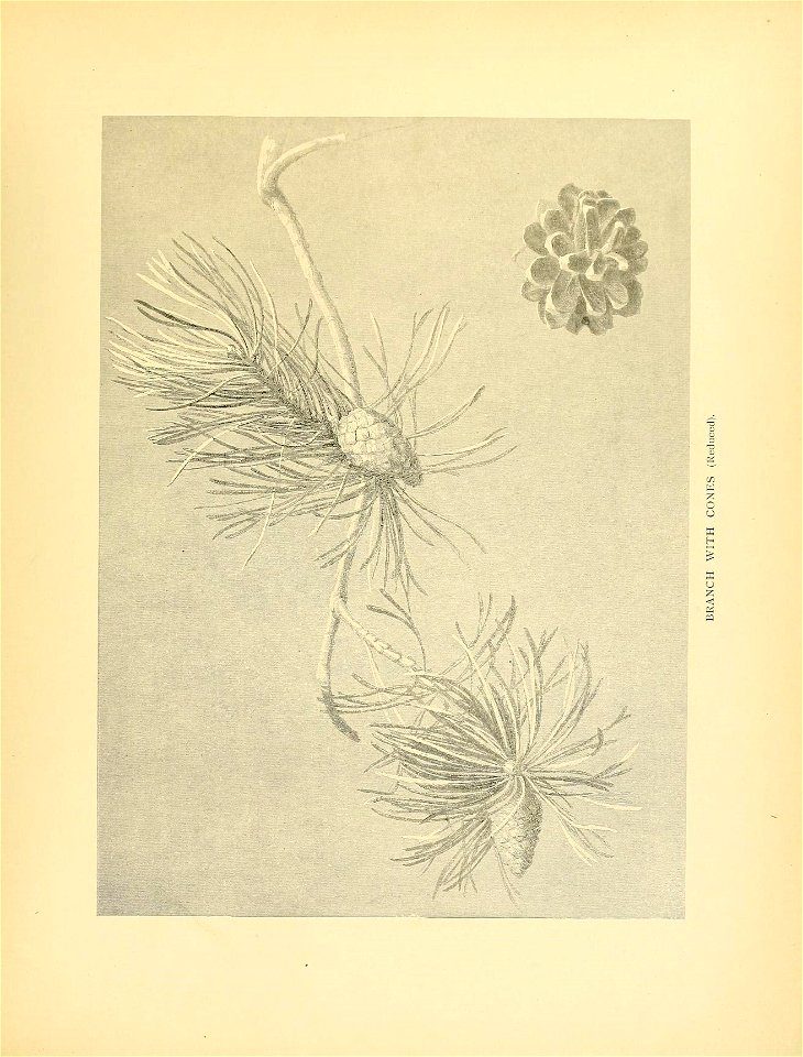 n364_w1150