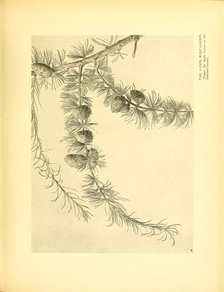 n308_w1150