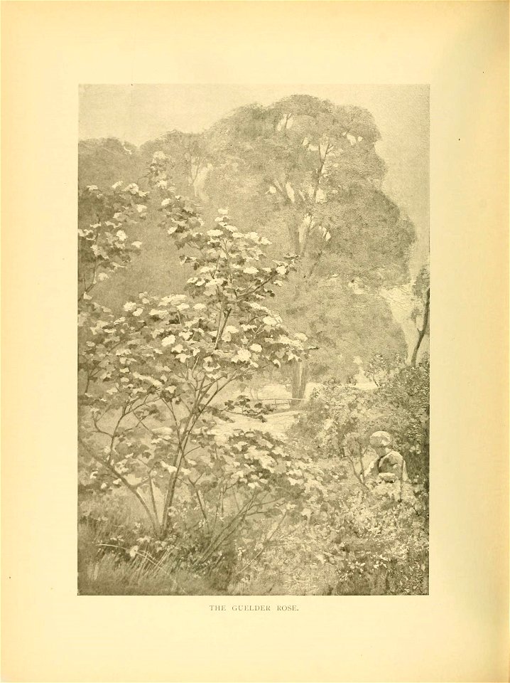n177_w1150