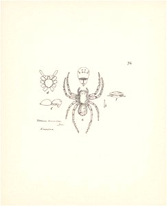 n323_w1150