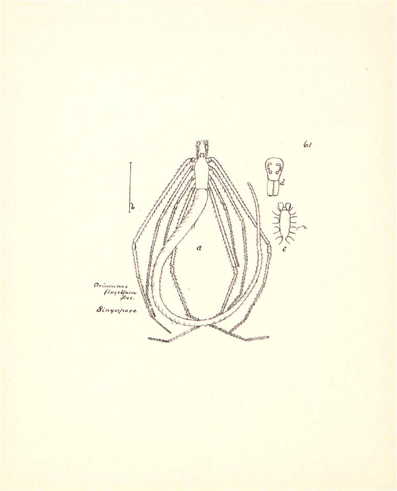 n263_w1150