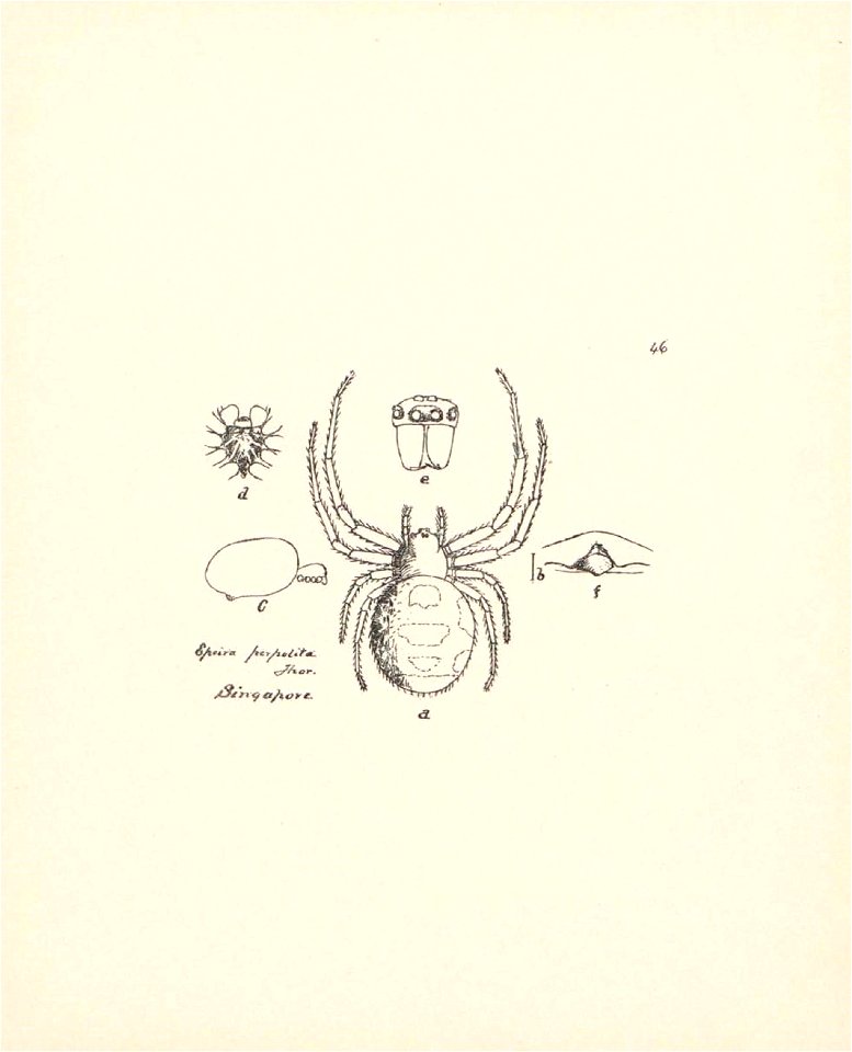 n203_w1150