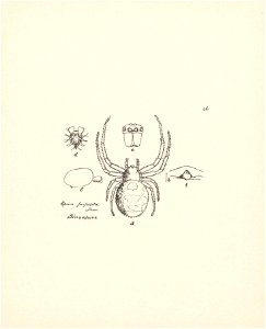 n203_w1150