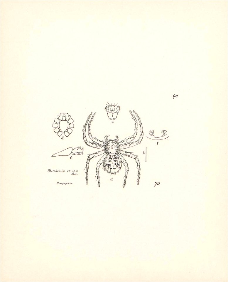 n379_w1150