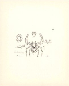 n379_w1150