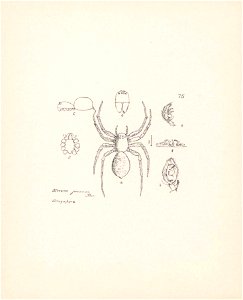 n319_w1150