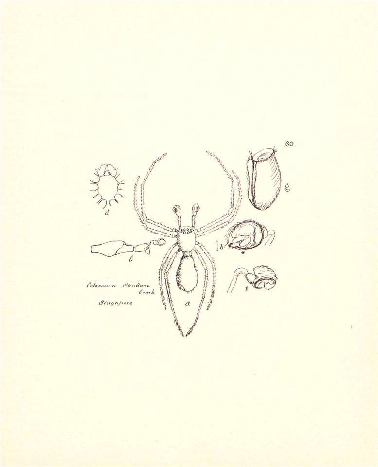 n259_w1150