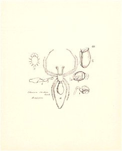 n259_w1150