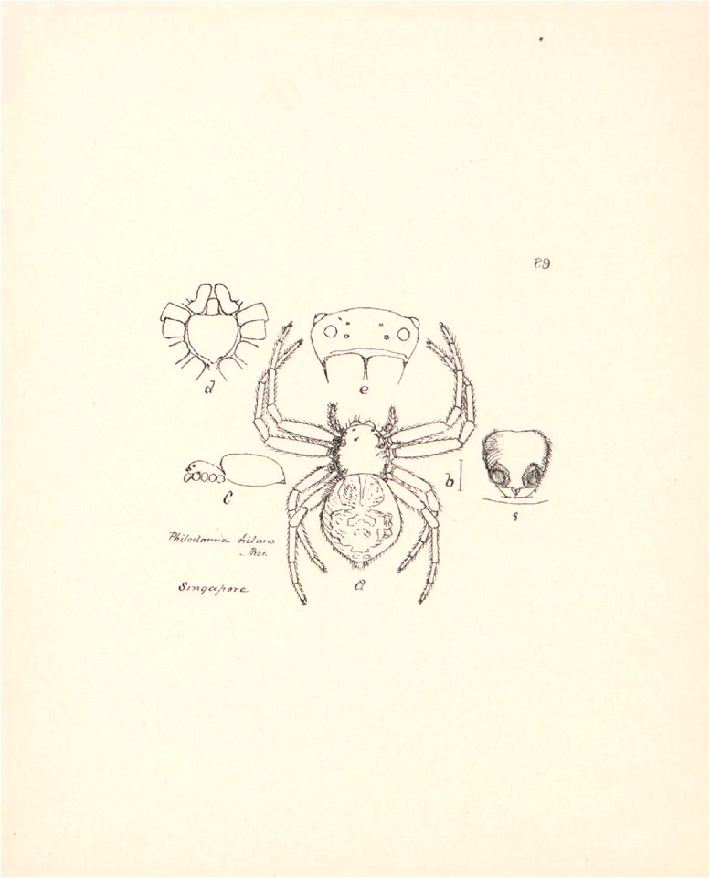 n375_w1150