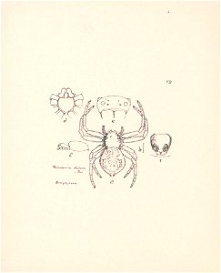 n375_w1150