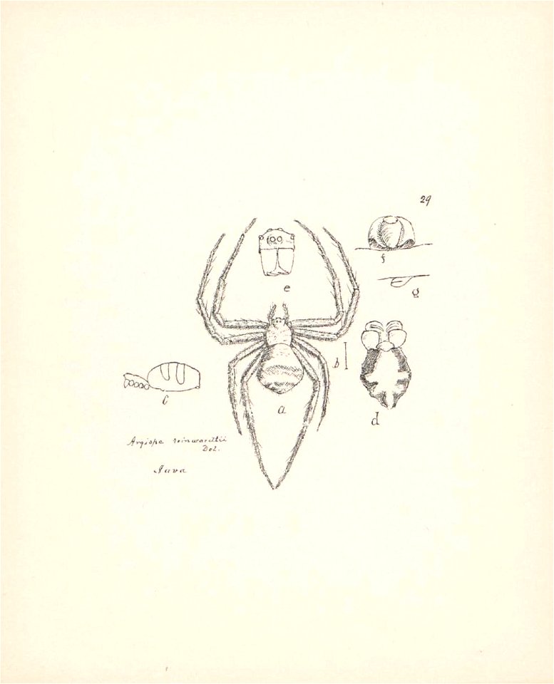n137_w1150