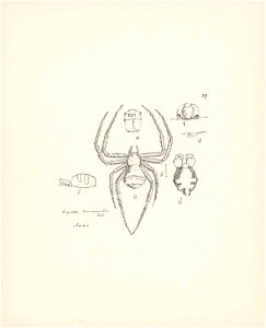 n137_w1150
